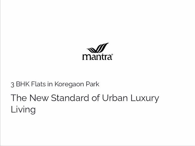 PDF document image preview