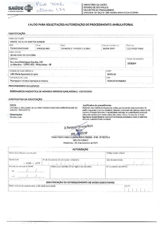 PDF document image preview