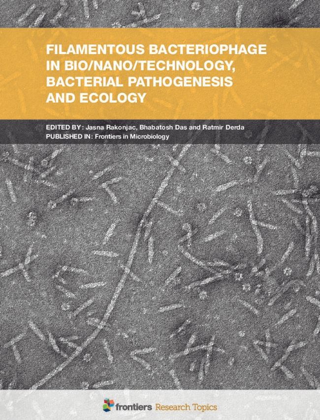 PDF document image preview