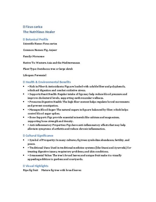 Vista previa de la imagen del documento PDF