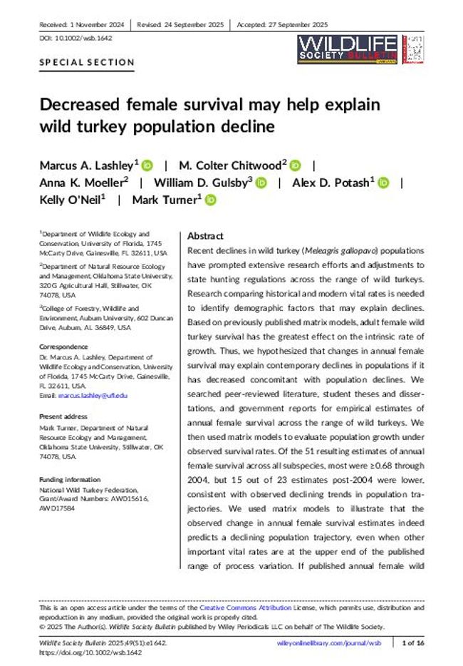 PDF document image preview