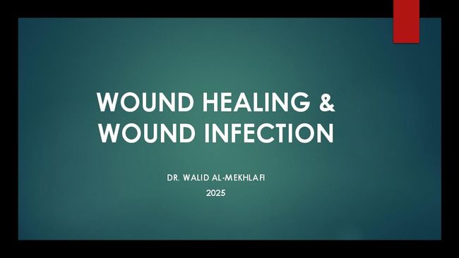 PDF document image preview