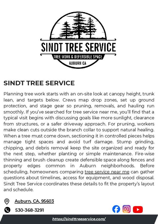 PDF document image preview