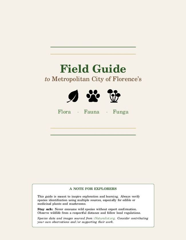 PDF document image preview