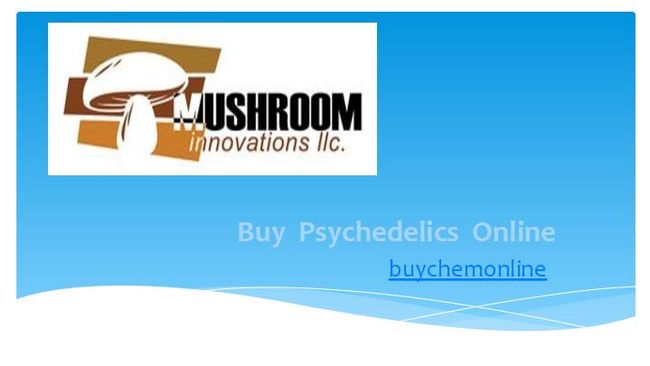 Anteprima d'immagine di documento PDF