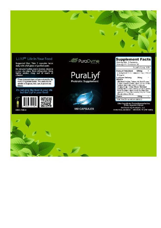 PDF document image preview