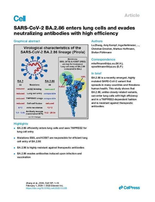 PDF document image preview