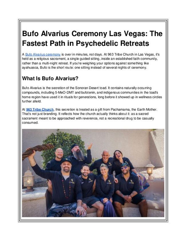 PDF document image preview