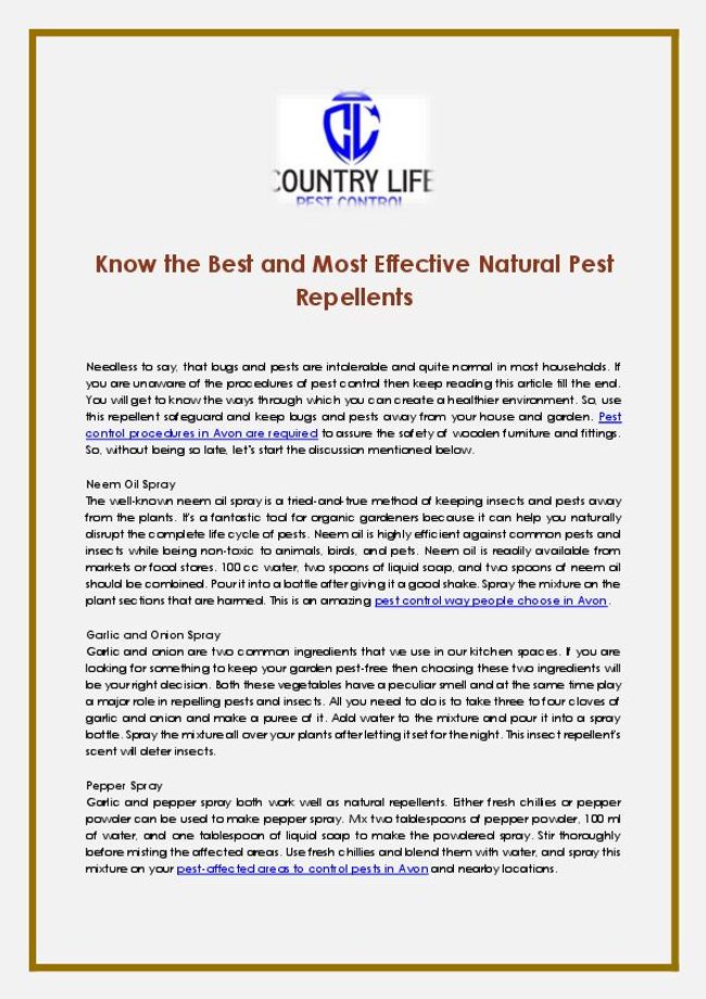 PDF document image preview