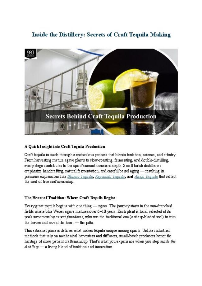 PDF document image preview