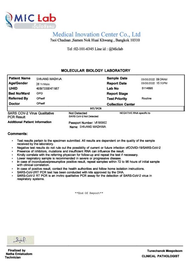 PDF document image preview