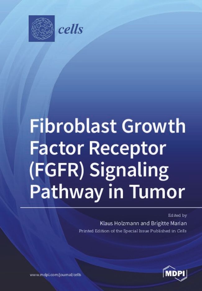 PDF document image preview