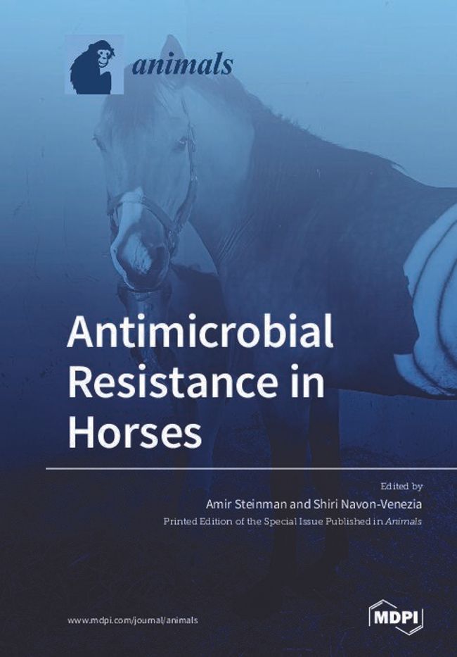 Visualização da imagem do documento PDF