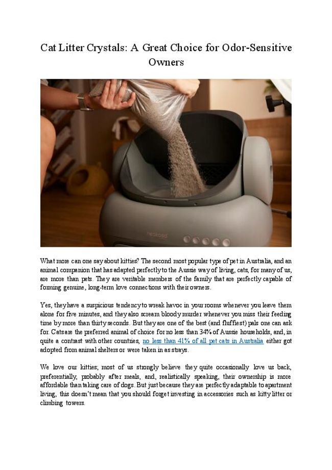 PDF document image preview