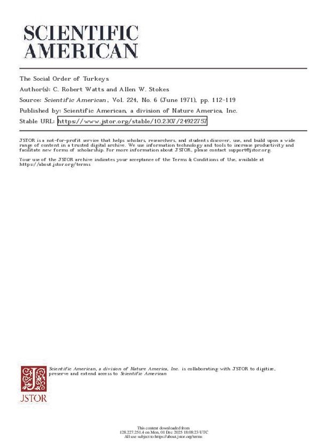 PDF document image preview