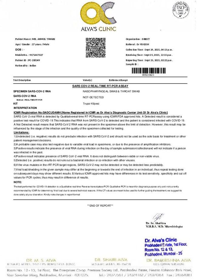 PDF document image preview