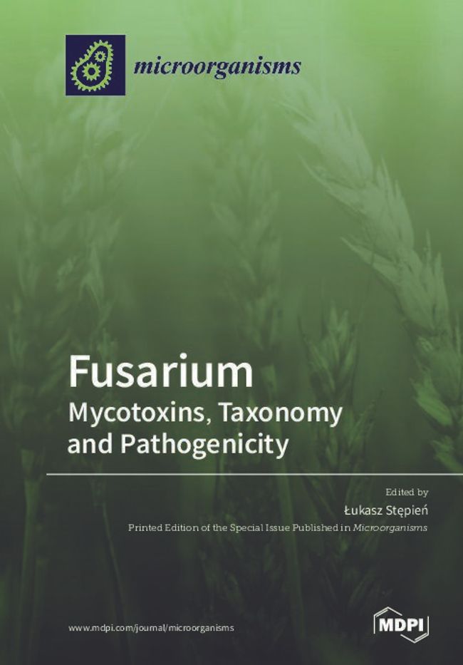 PDF document image preview