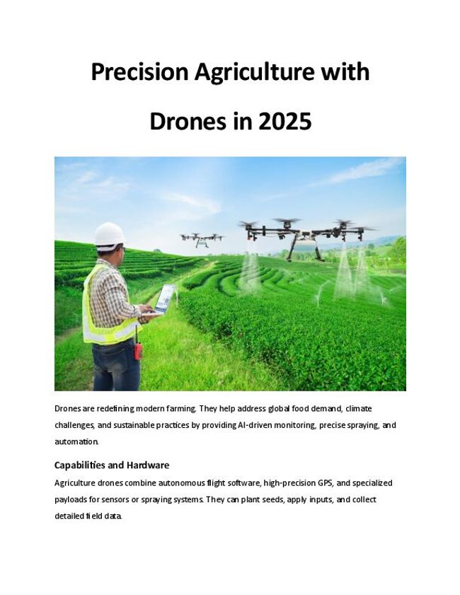 PDF document image preview