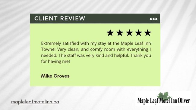 PDF document image preview