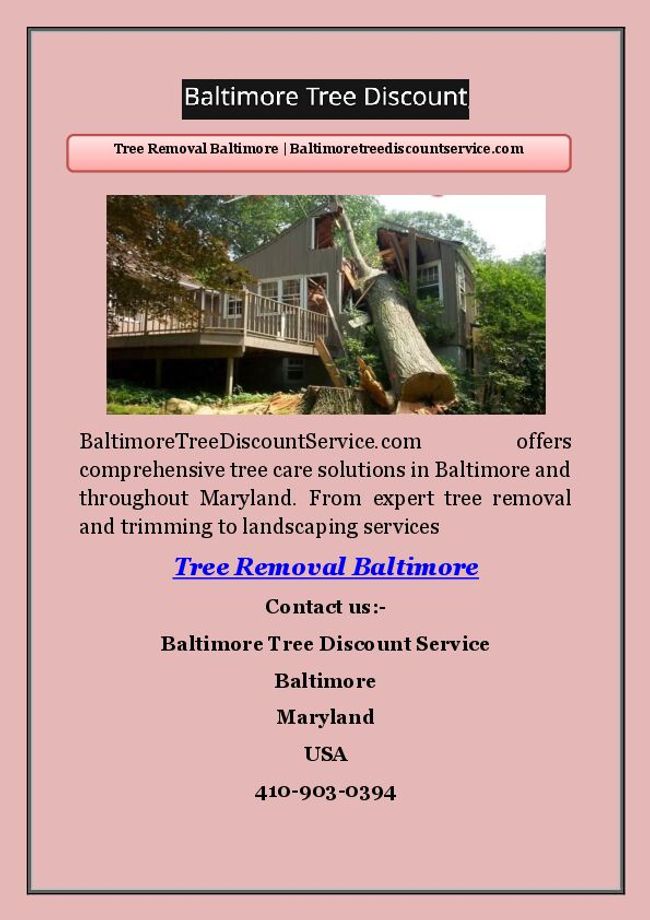 PDF document image preview