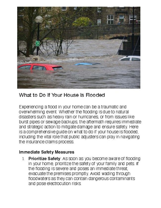 PDF document image preview