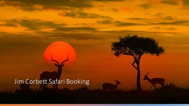 PDF-Dokument vorschau