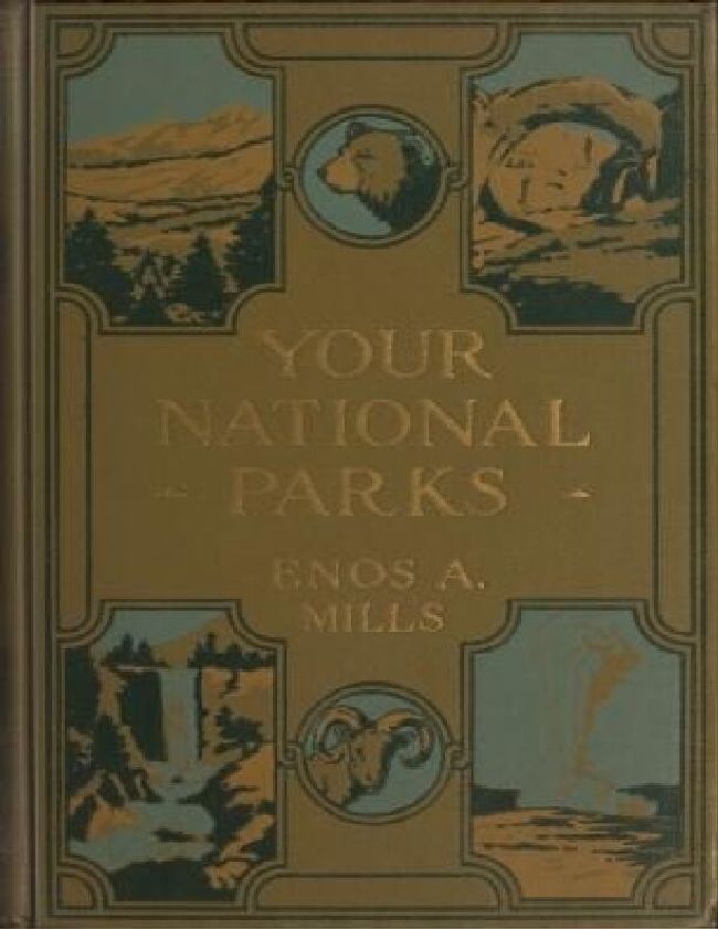 PDF document image preview