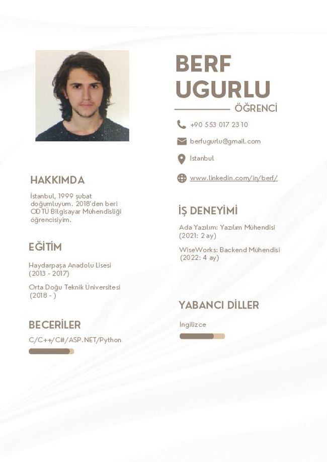 PDF document image preview