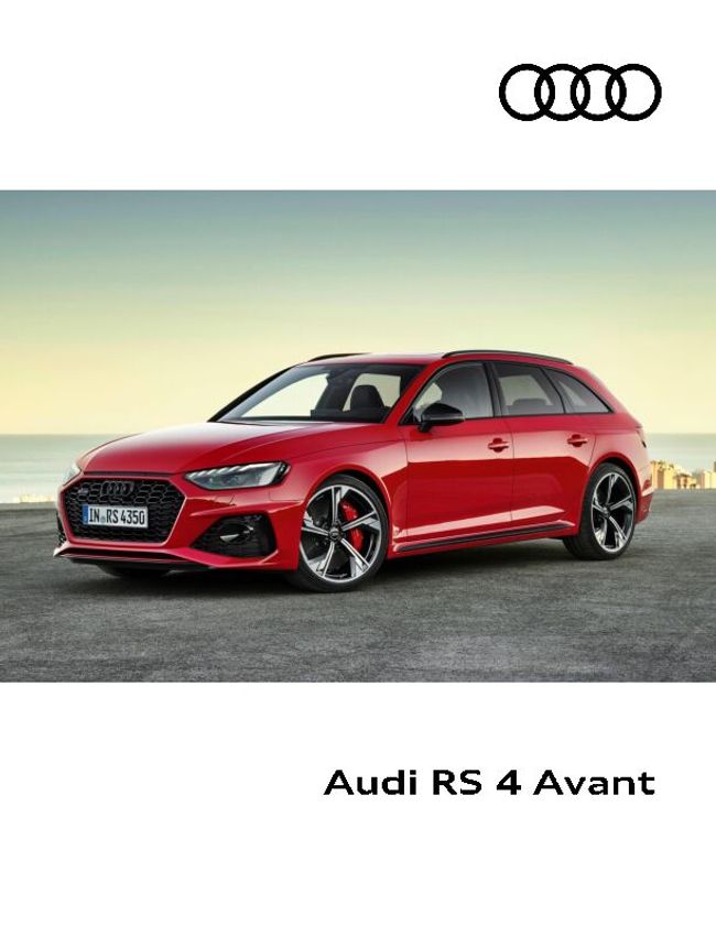 PDF document image preview