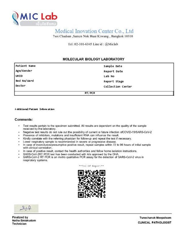 PDF document image preview