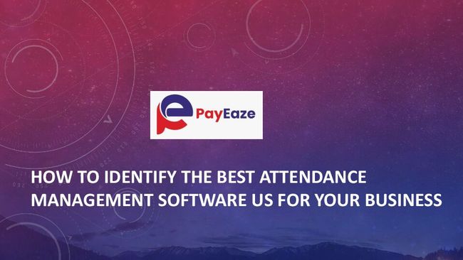 PDF document image preview