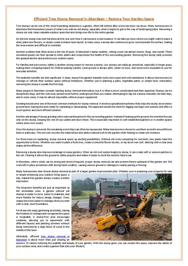 PDF document image preview