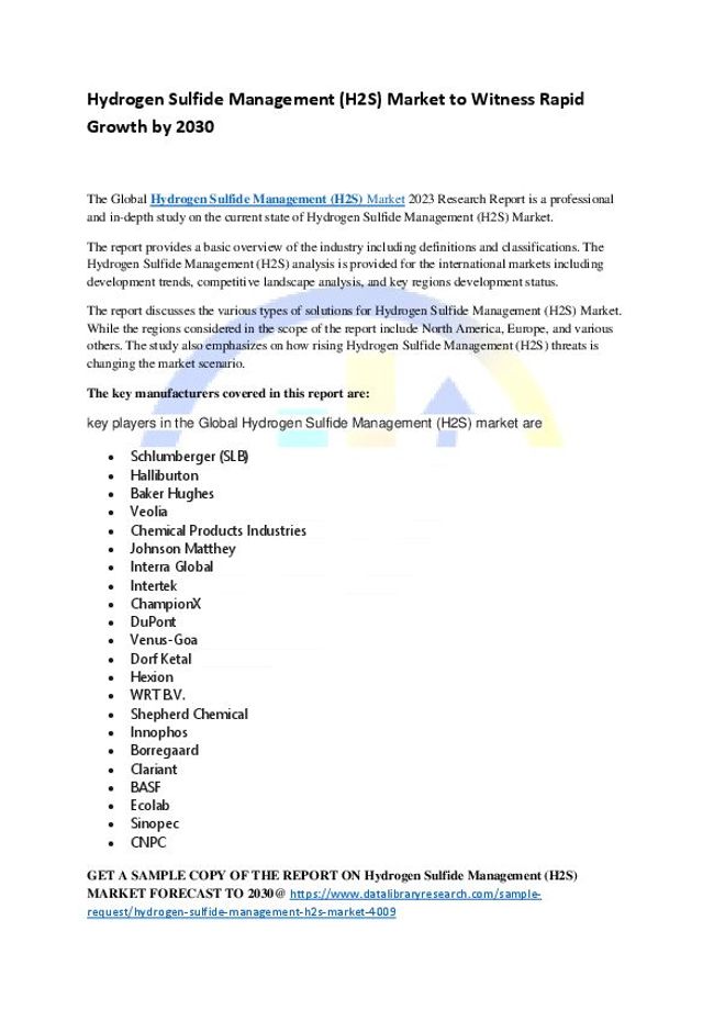 PDF document image preview