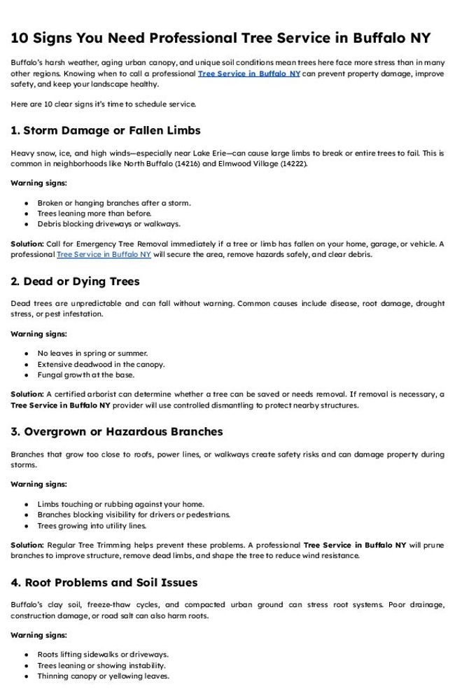 PDF document image preview