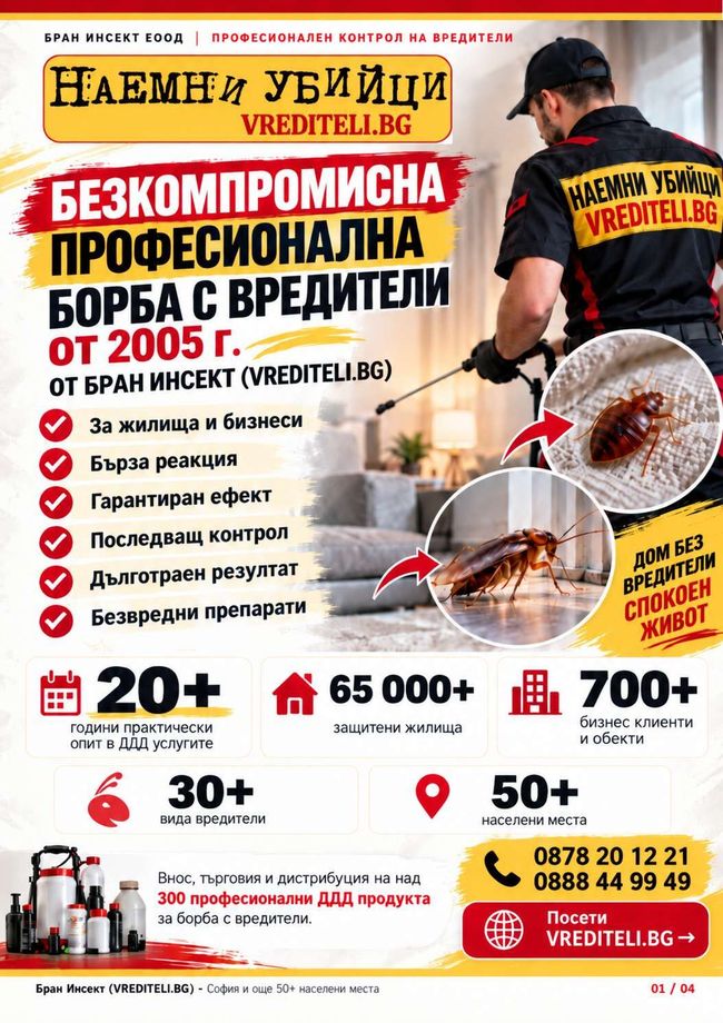 PDF document image preview