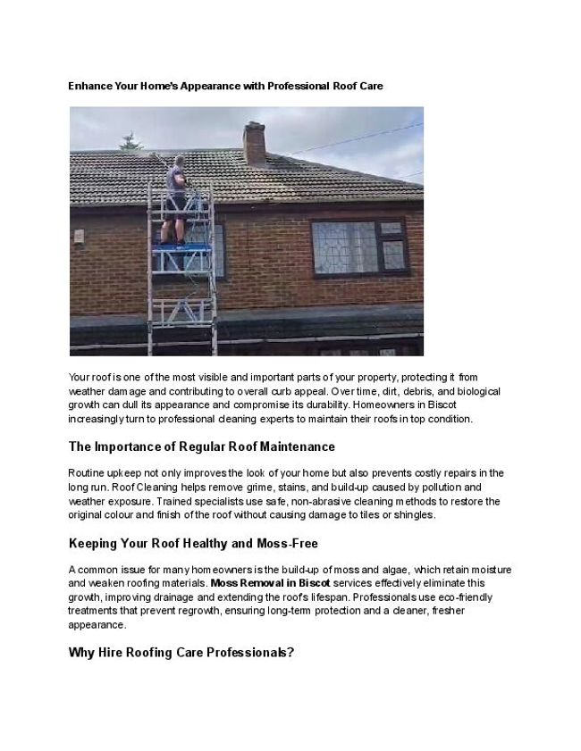 PDF document image preview