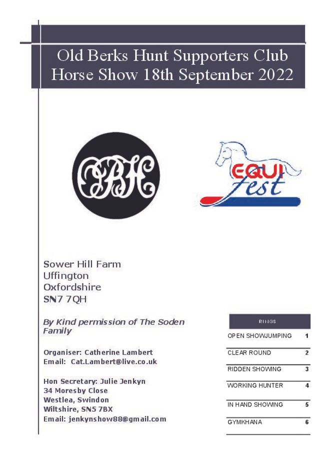 PDF document image preview