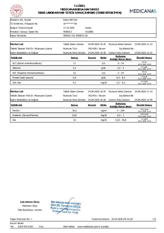 PDF document image preview