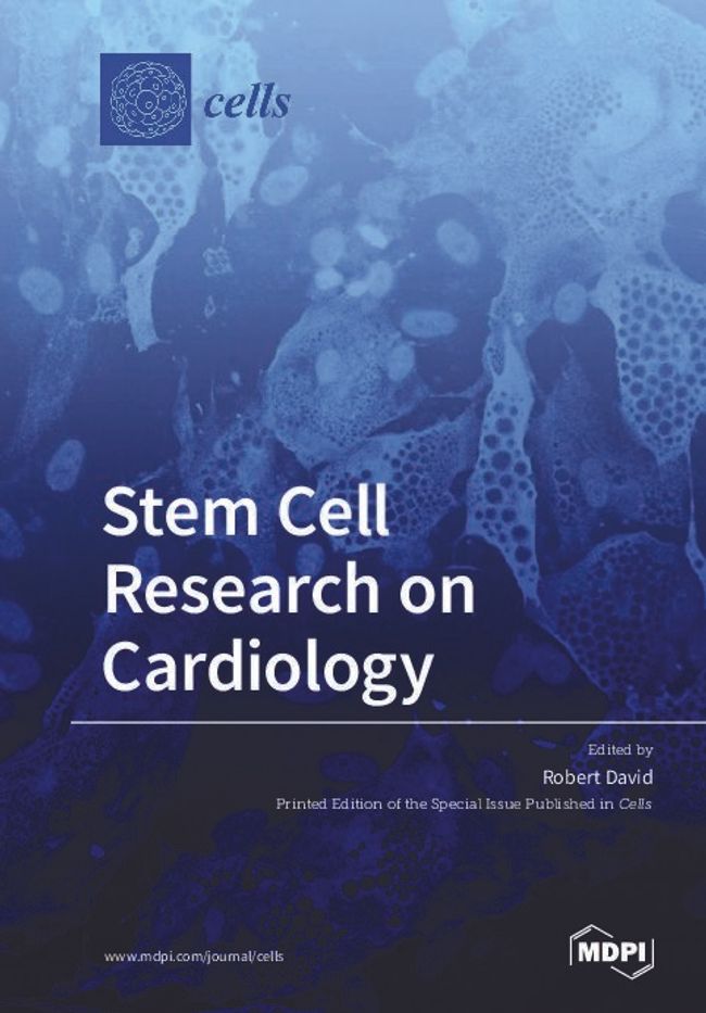 PDF document image preview