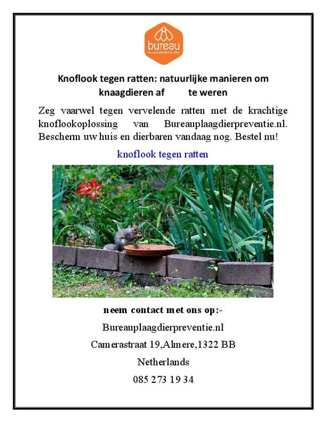 PDF document image preview