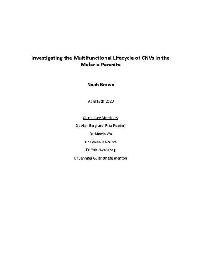 Visualização da imagem do documento PDF
