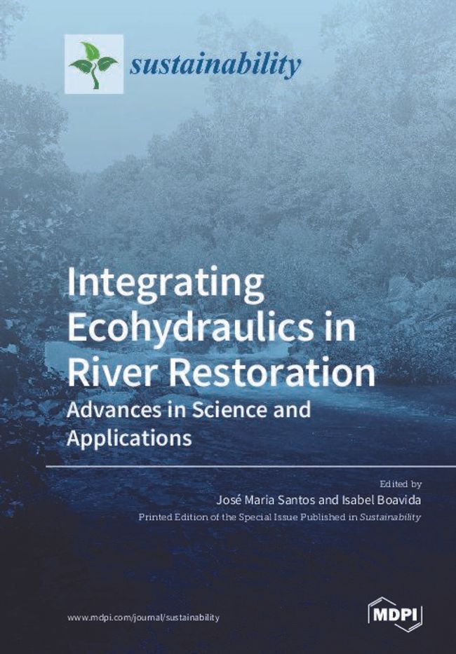 PDF document image preview