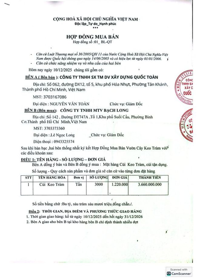 PDF document image preview