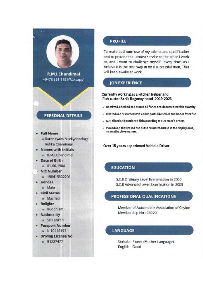 PDF document image preview