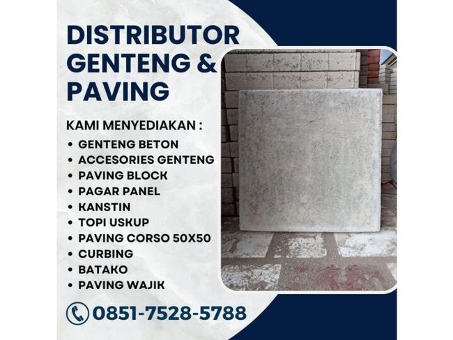 PDF document image preview