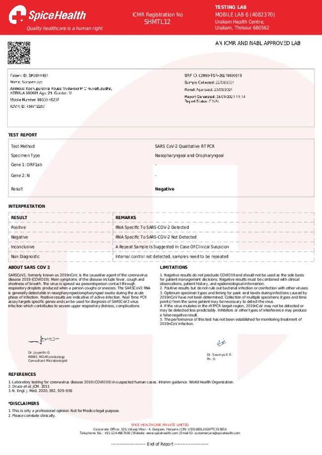 PDF document image preview