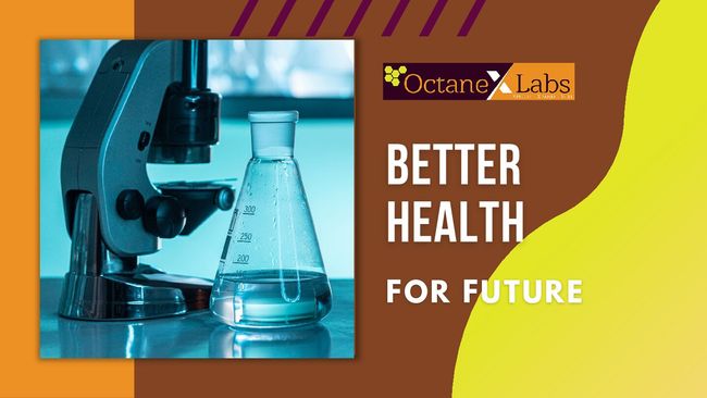 PDF document image preview