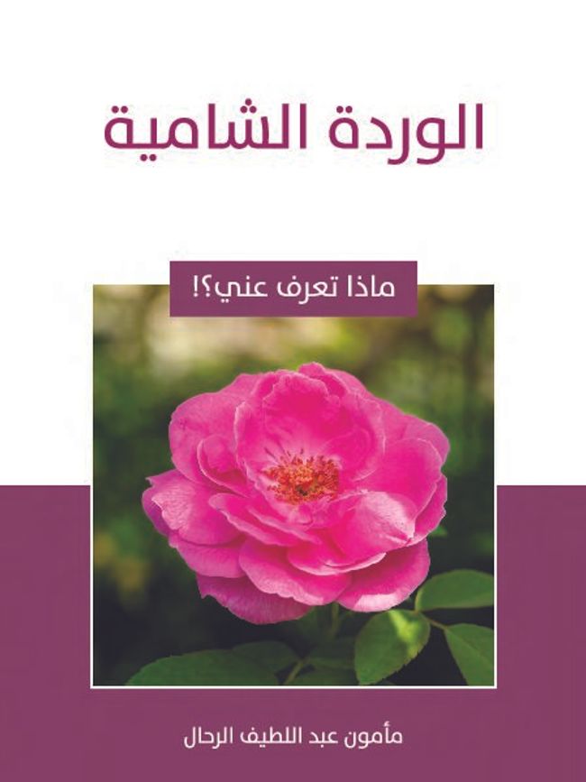 PDF document image preview