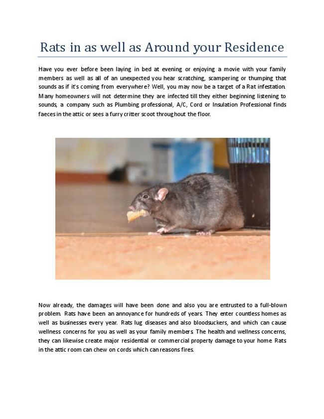 Visualização da imagem do documento PDF