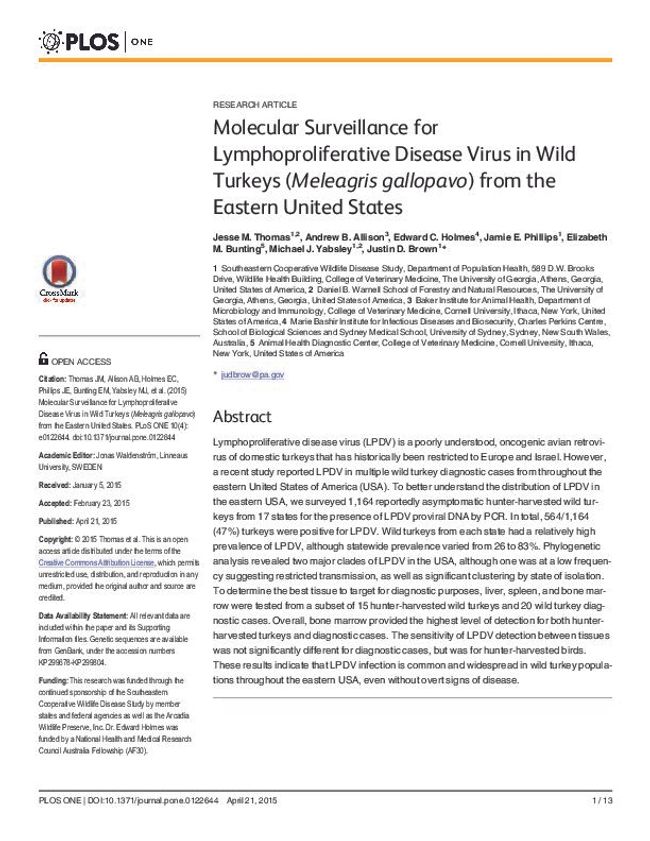 PDF document image preview